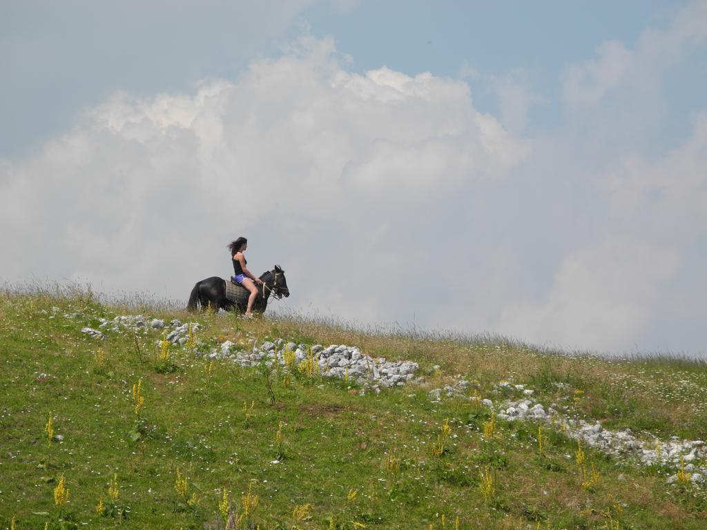 Boskovica Brvnare Guest House ชาเบลียค ภายนอก รูปภาพ