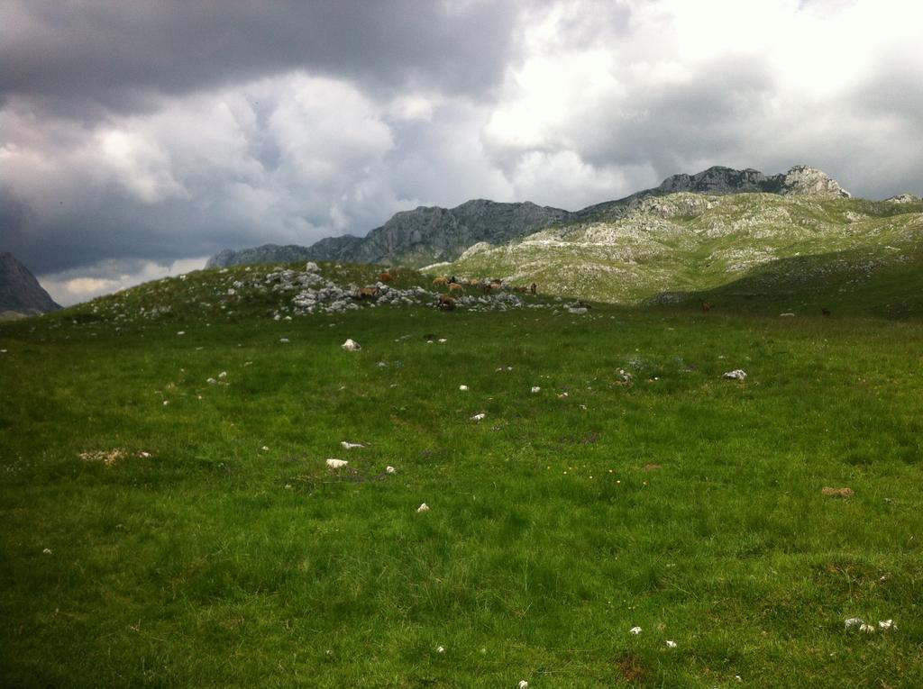 Boskovica Brvnare Guest House ชาเบลียค ภายนอก รูปภาพ