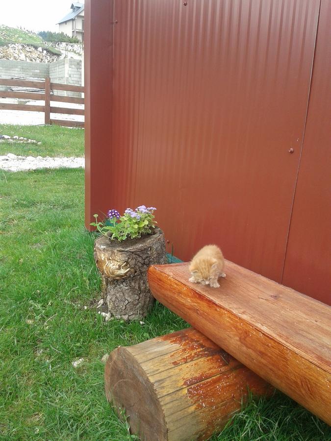 Boskovica Brvnare Guest House ชาเบลียค ภายนอก รูปภาพ