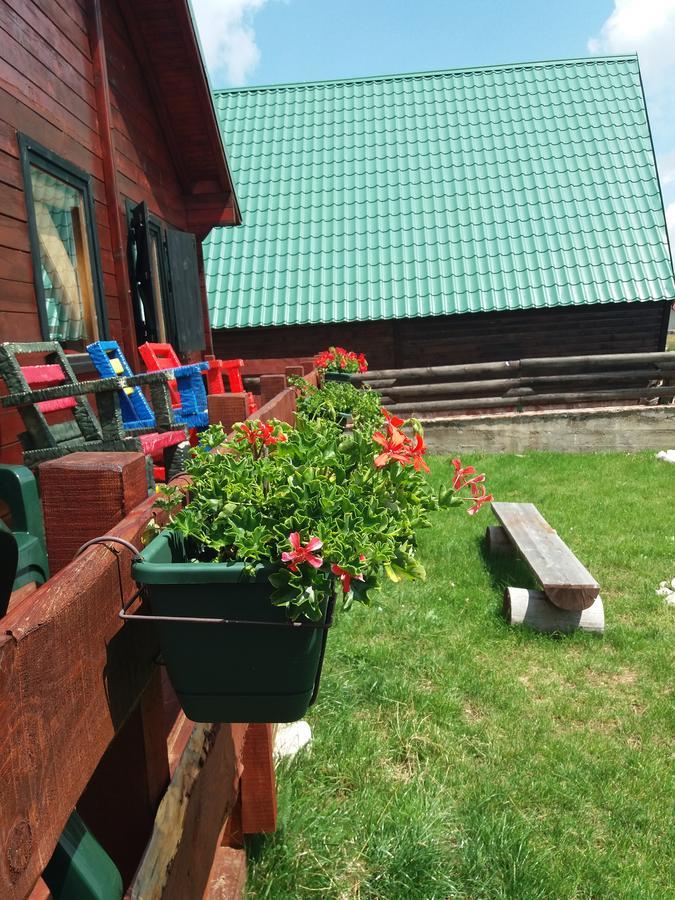 Boskovica Brvnare Guest House ชาเบลียค ภายนอก รูปภาพ