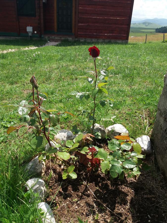 Boskovica Brvnare Guest House ชาเบลียค ภายนอก รูปภาพ